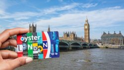 visitor oyster card